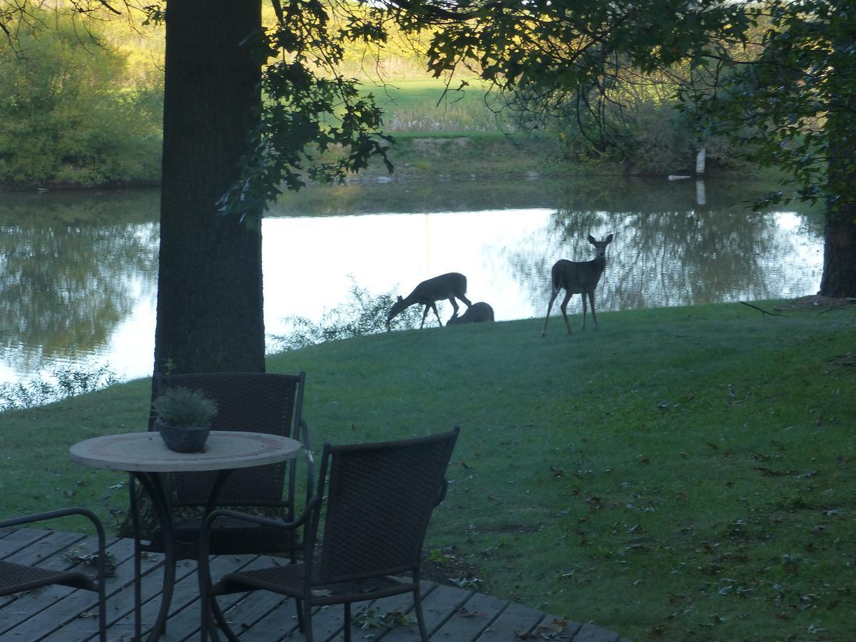 Bed and breakfast The At White Oak 5*